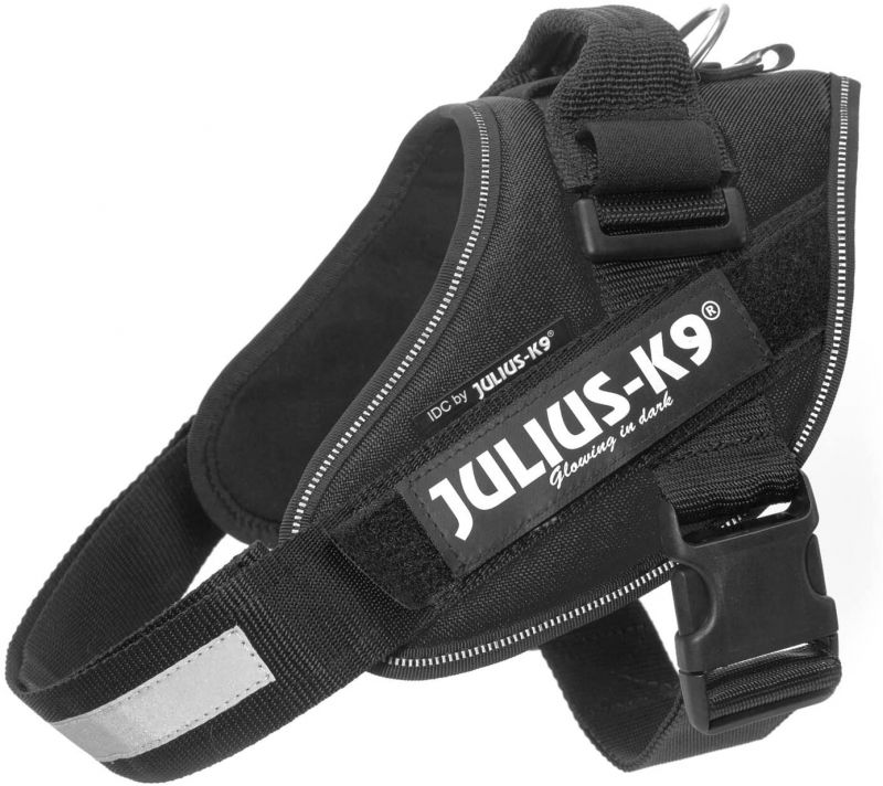 Julius-K9 Powerharness Dog Harness for medium dogs for sale